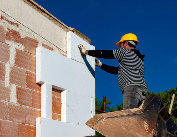 Best DIY Insulation Kits and Guidance in Dryden, MI