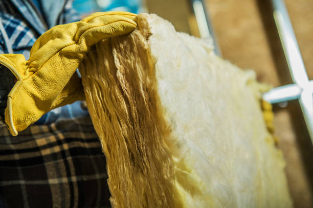 Best Insulation Maintenance and Repair in Dryden, MI