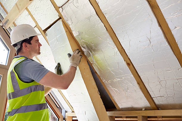 Best Eco-Friendly Insulation in Dryden, MI